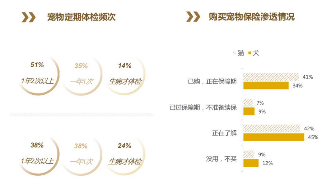 淘系宠物精准营养及疾病市场规模超百亿,皮毛五官健康类产品成核心赛道