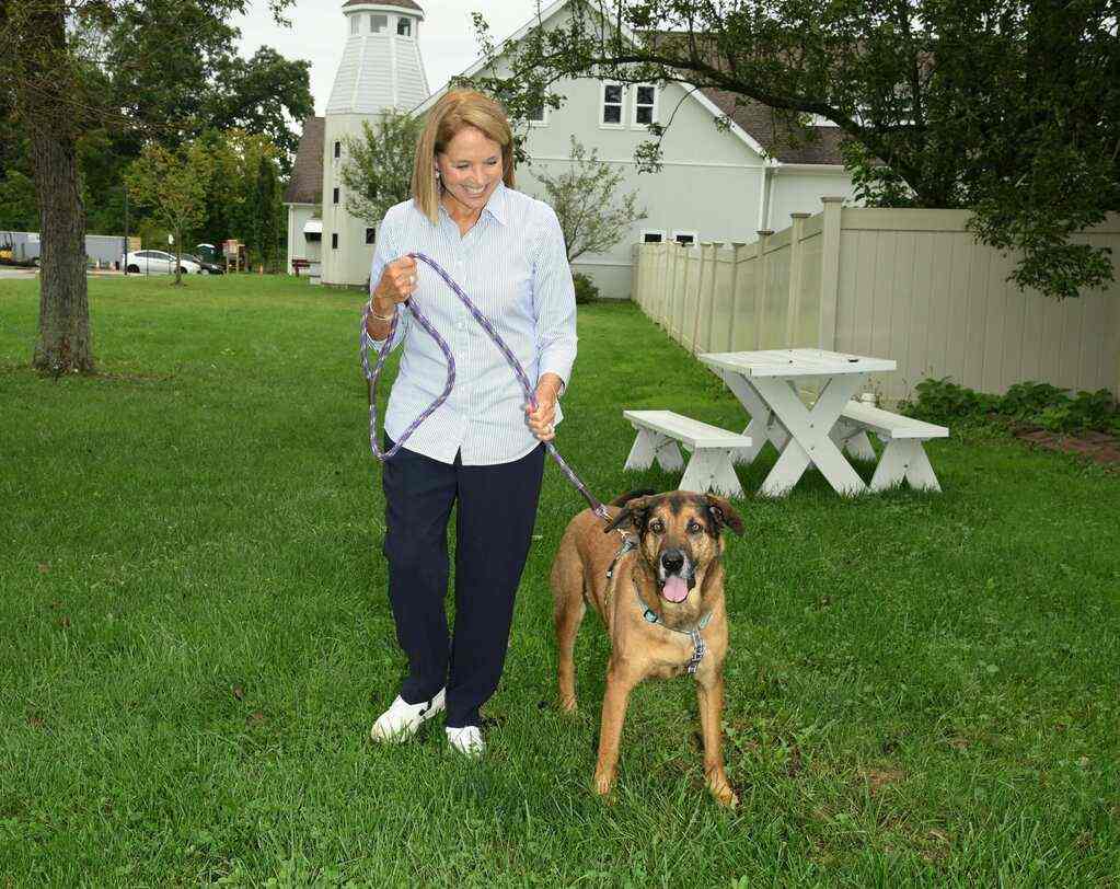 Mars Petcare Gears Up for Pet Adoption Weekend, Will Cover $100,000 in Adoption Fees