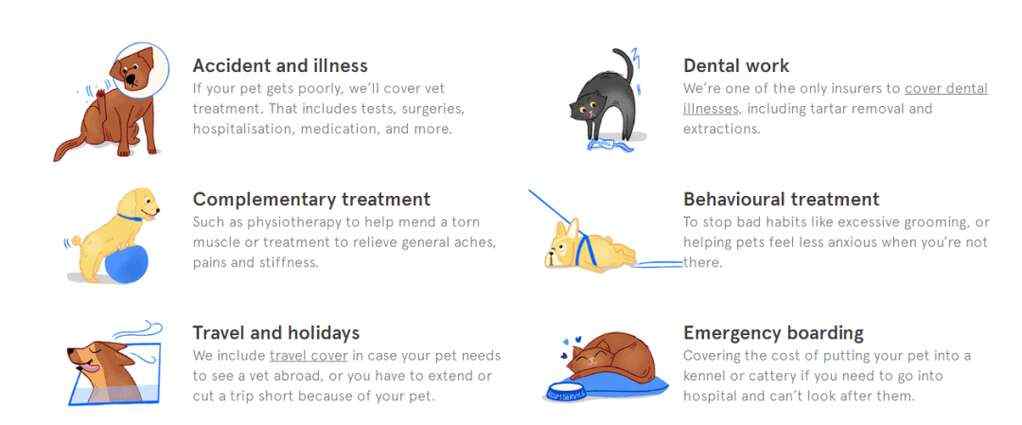盘点2023年全球十大创新宠物保险公司
