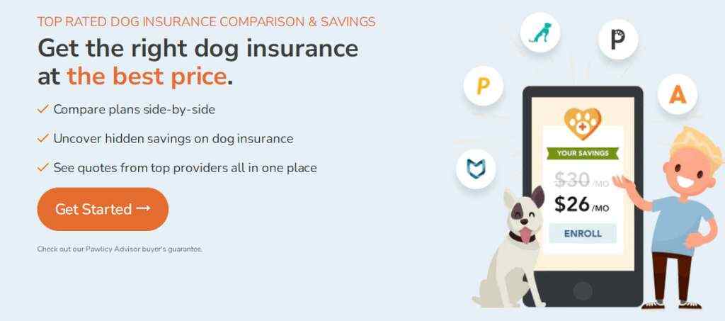 盘点2023年全球十大创新宠物保险公司