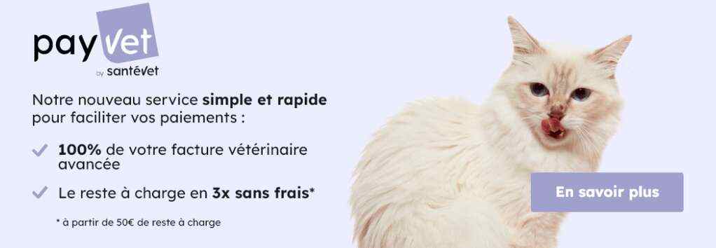 盘点2023年全球十大创新宠物保险公司