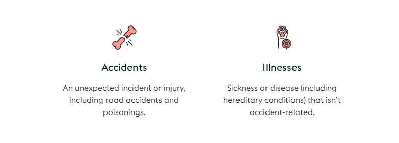 盘点2023年全球十大创新宠物保险公司