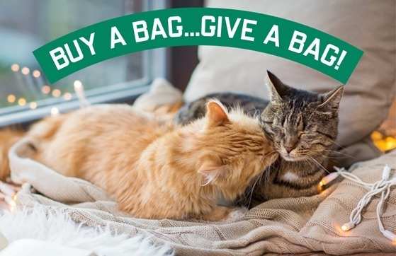 Catalyst Pet Donates 17 Tons of Litter to Rescues