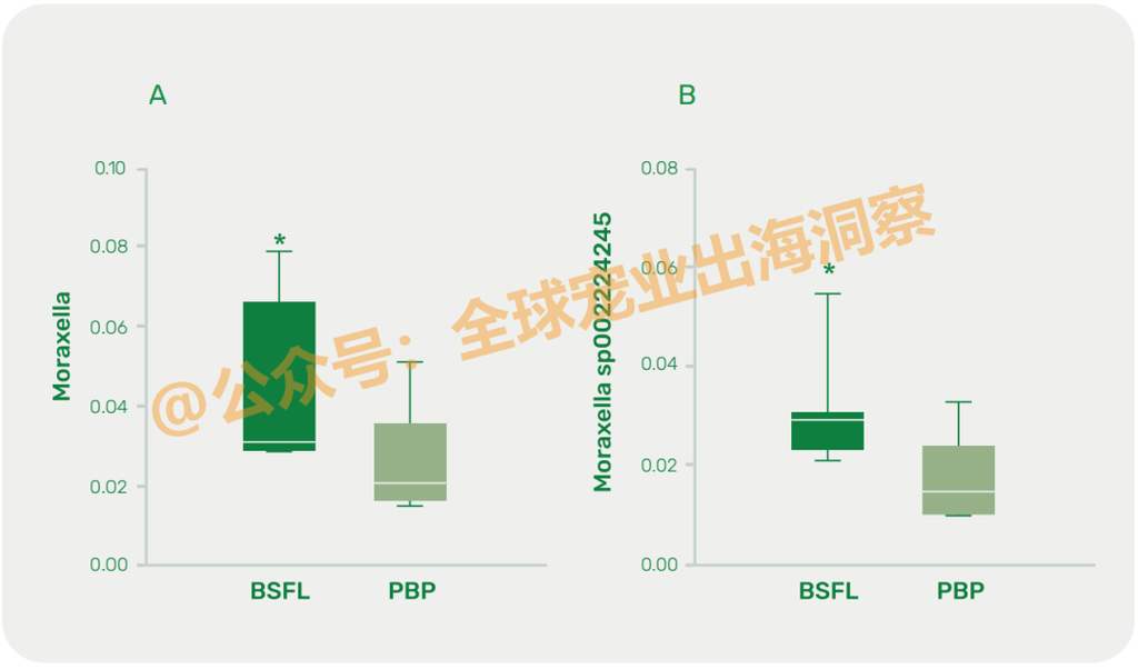 减少口臭，改善犬类口腔健康！宠物食品市场又一个新机会