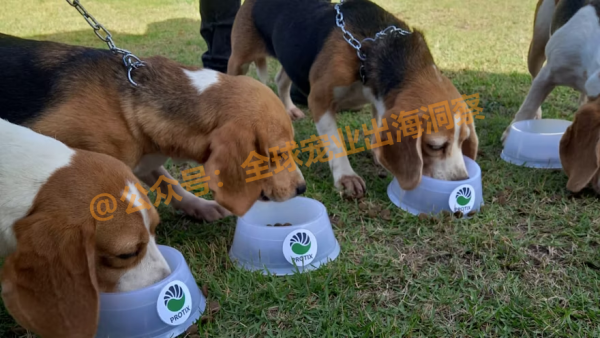 减少口臭，改善犬类口腔健康！宠物食品市场又一个新机会
