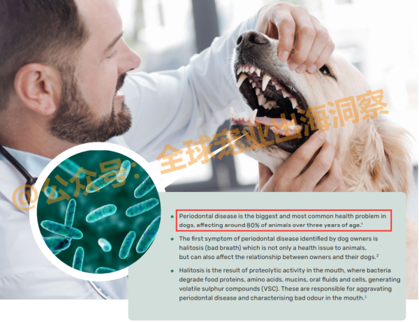 减少口臭，改善犬类口腔健康！宠物食品市场又一个新机会