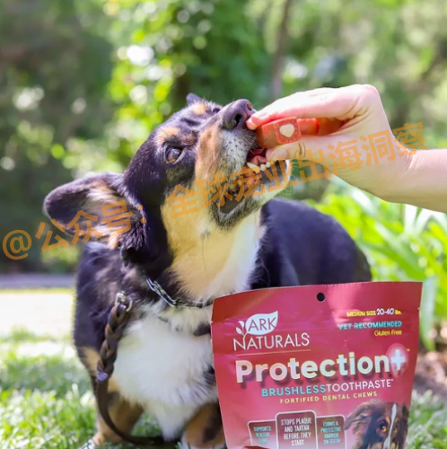 减少口臭，改善犬类口腔健康！宠物食品市场又一个新机会