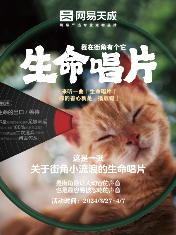 公益带动口碑，网易天成做对了什么？