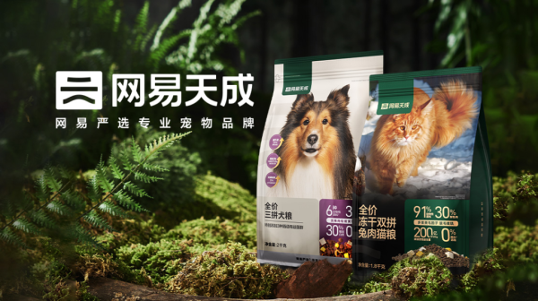 公益带动口碑，网易天成做对了什么？