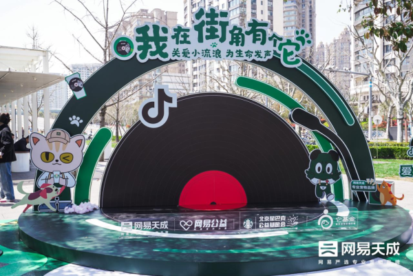 公益带动口碑，网易天成做对了什么？