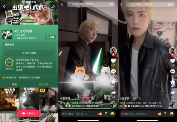 公益带动口碑，网易天成做对了什么？
