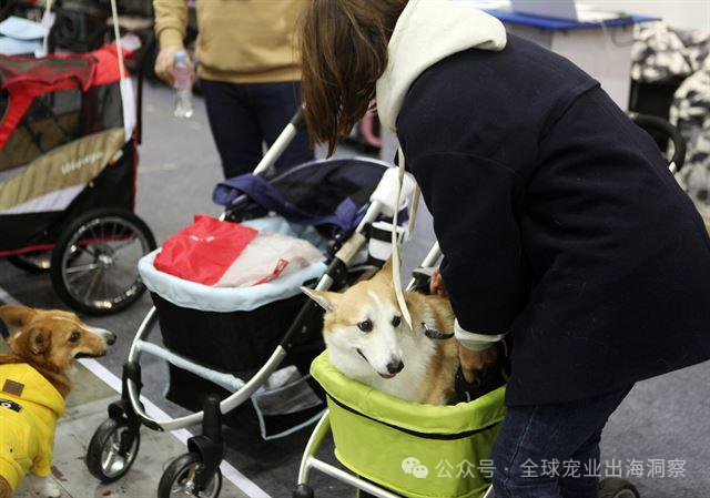 滴滴涉携宠纠纷;动物绿洲回应倒闭;韩国宠物产品销量超婴儿用品
