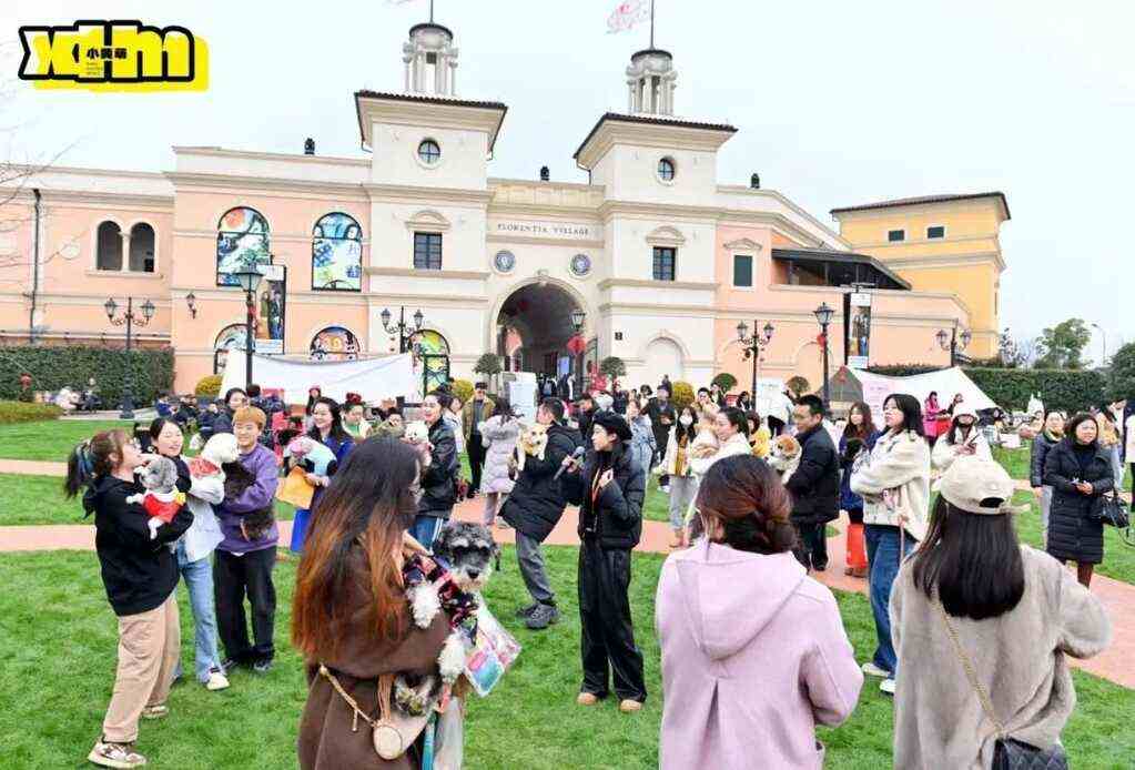 明天开幕 | 世宠会·重庆宠物展亮点抢先看！展位图、同期活动剧透！速速收藏，逛展不迷路~