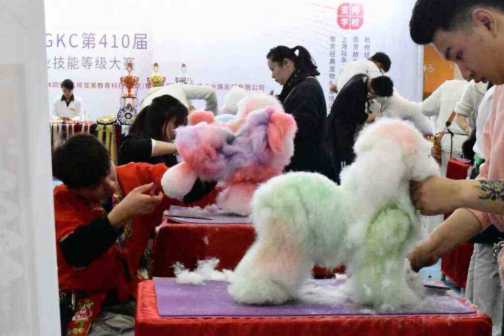 明天开幕 | 世宠会·重庆宠物展亮点抢先看！展位图、同期活动剧透！速速收藏，逛展不迷路~
