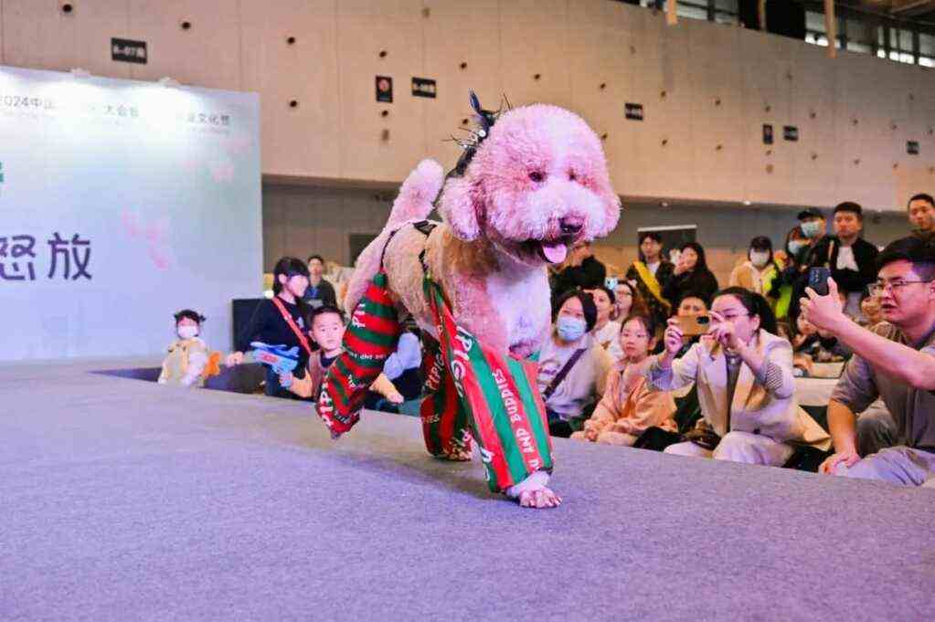 明天开幕 | 世宠会·重庆宠物展亮点抢先看！展位图、同期活动剧透！速速收藏，逛展不迷路~