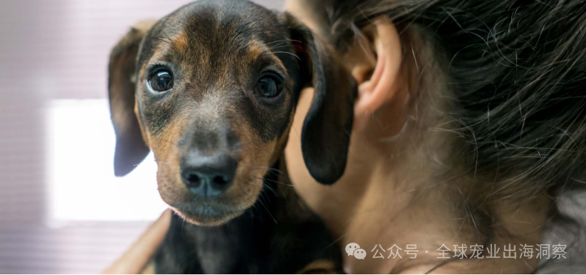 新进展!默沙东犬用新驱虫药、犬流感及狂犬病新疫苗要上市了