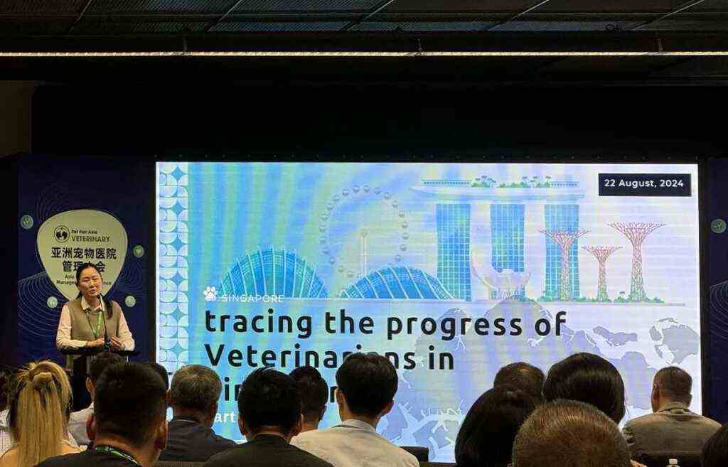 新加坡宠物医疗行业：宠物诊所超100家，专业人员数量激增6倍