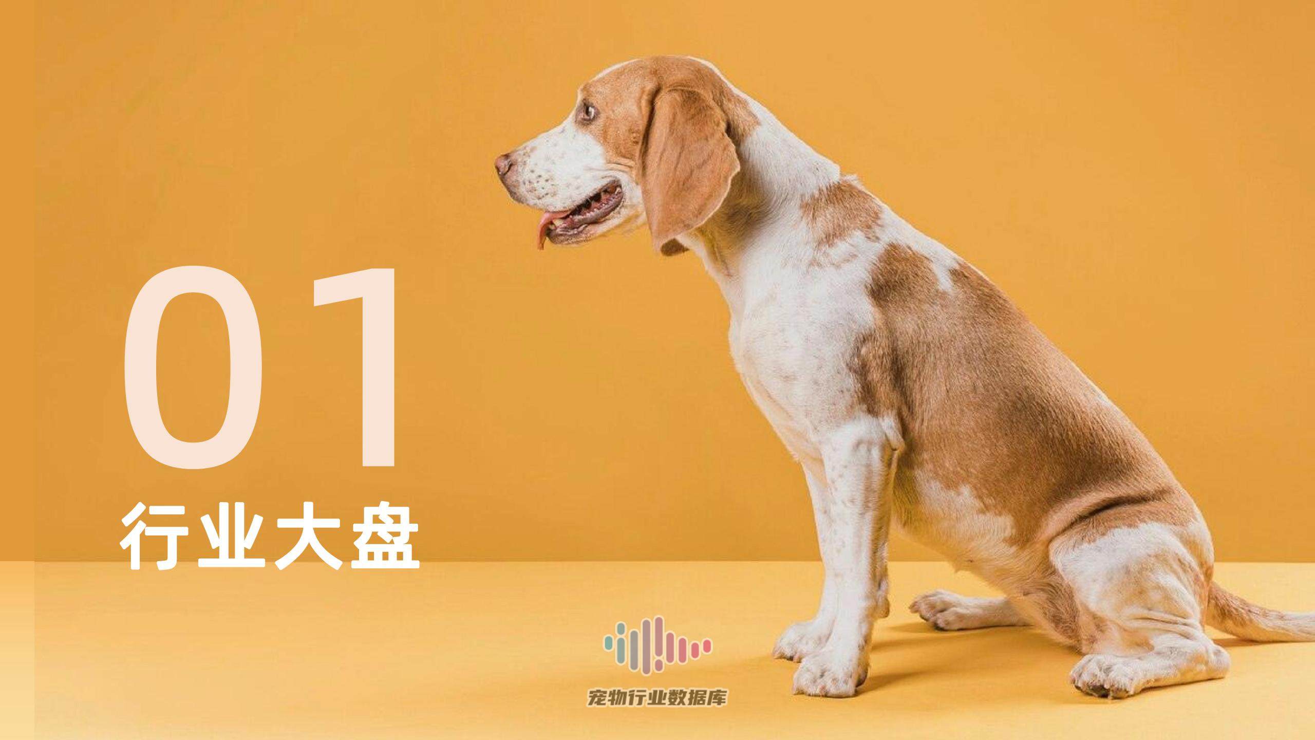 2023年宠物保健品消费趋势-果集行研