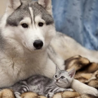 我的标题特别的长长长长长长长长长长长长长长长长长长我的标题特别的长我的